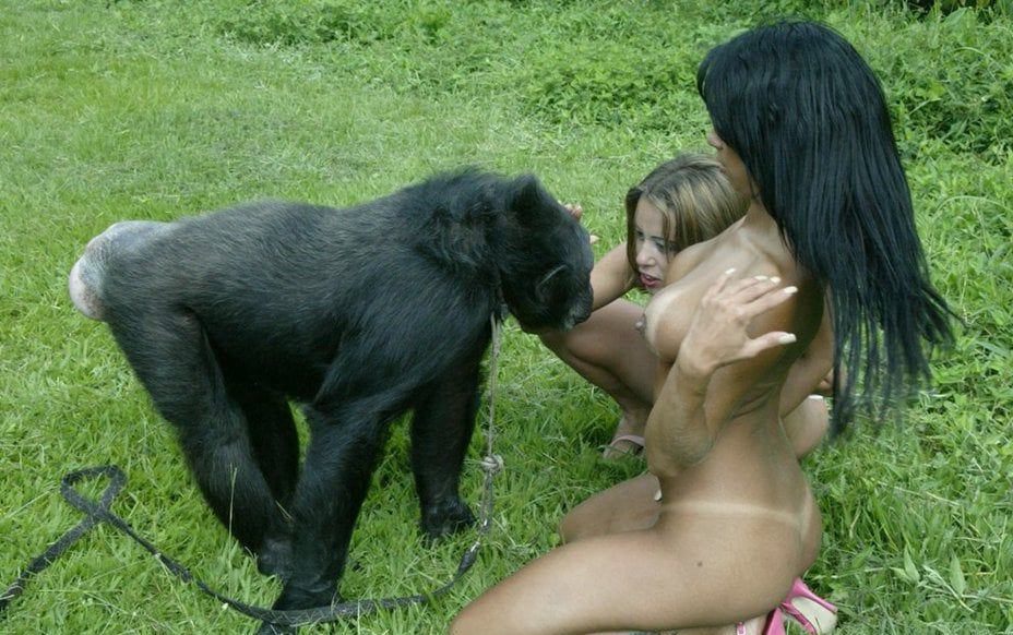 Beastyheaven 👉 👌 Fucking A Chimp - Porn Photos Sex Videos