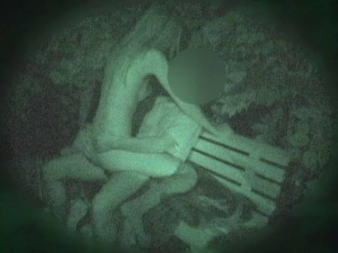 【エロ画像】夜の「青姦スポット」に赤外線カメラを仕込んだ結果ｗｗｗｗｗｗｗｗ・33枚目