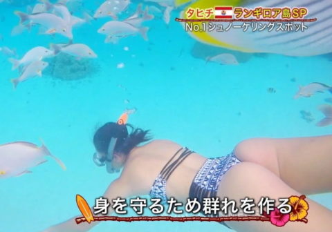 【TVエロ】水中で女性の水着を撮影したシーン。これ絶対に狙ってるよな？ｗｗｗｗｗｗｗ・8枚目