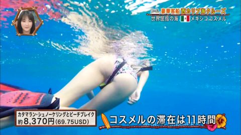 【TVエロ】水中で女性の水着を撮影したシーン。これ絶対に狙ってるよな？ｗｗｗｗｗｗｗ・9枚目