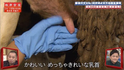 【ゆきぽよ】エロギャルのビッチなエロ画像まとめ(174枚)・13枚目