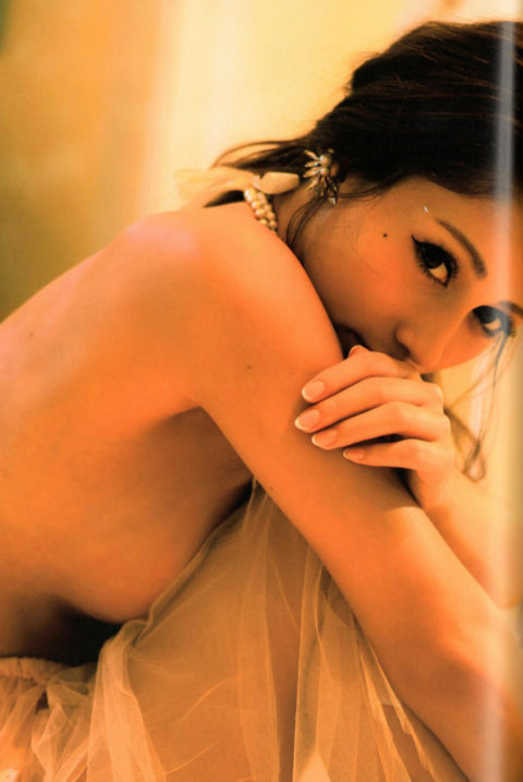 【お宝画像】ダレノガレ明美さん、乳首をアップしてしまったエロ画像集（83枚）・71枚目