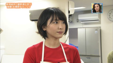 【新垣結衣】水着も披露してる国民的アイドル女優ガッキーのエロ画像集（114枚）・17枚目