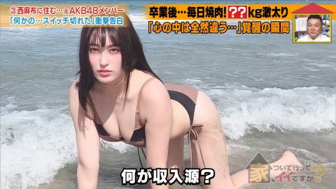 平田梨奈（元AKB）AV一歩手前？ほとんど晒したエロ画像。（28枚）・2枚目